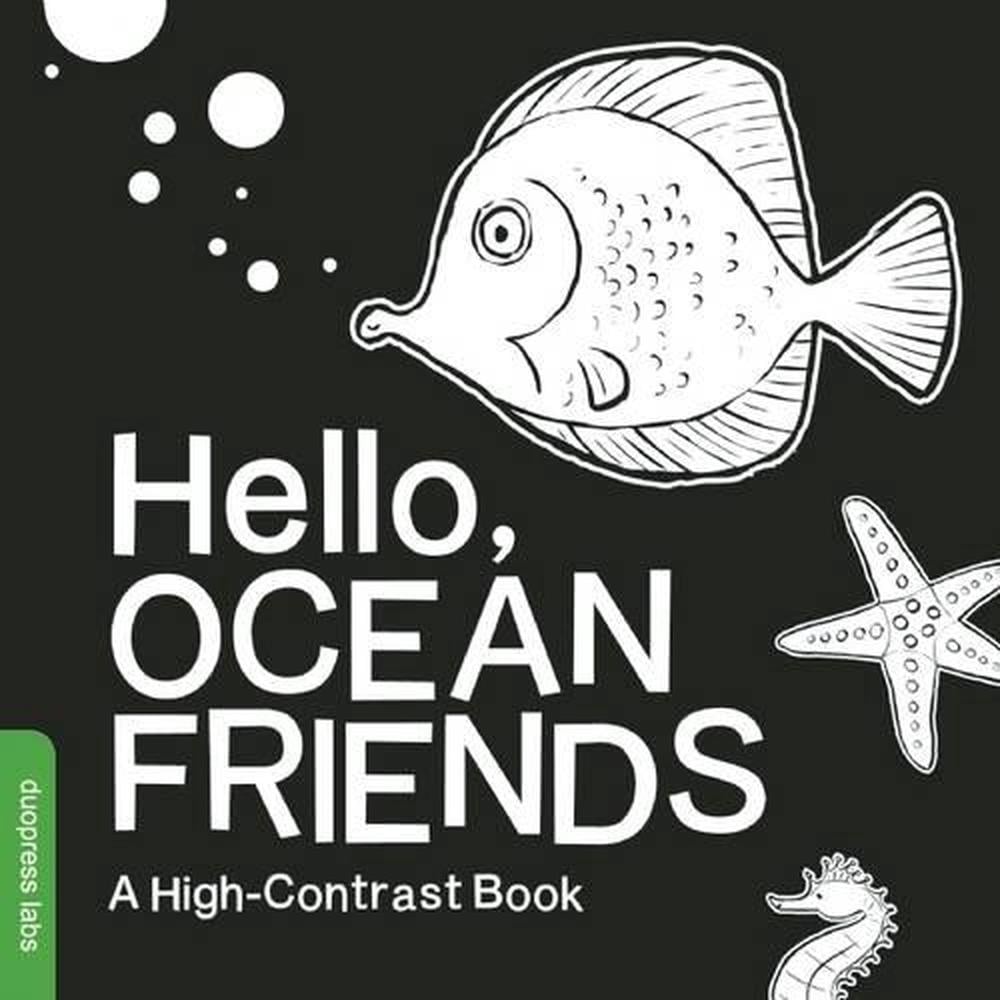 Hello, Ocean Friends by Violet Lemay - ISBN: 9781938093418