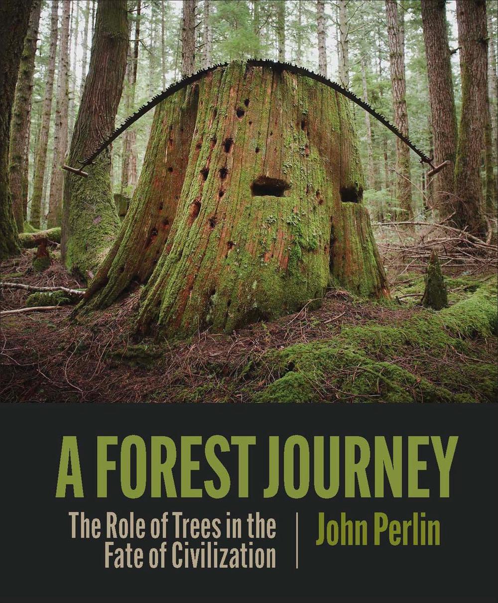 The Forest Journey, 9781938340970