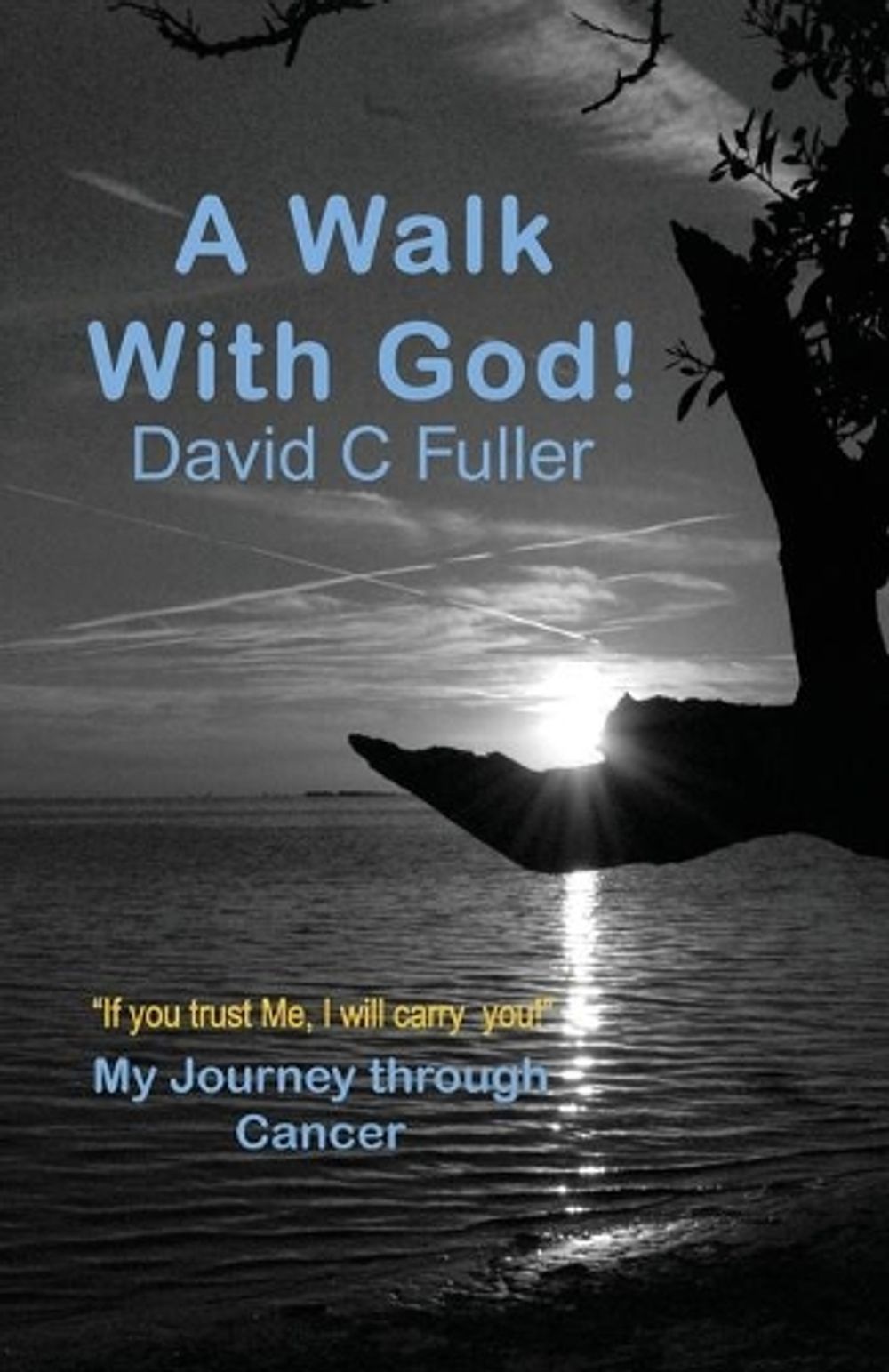 A Walk with God by David C. Fuller - ISBN: 9781941173497