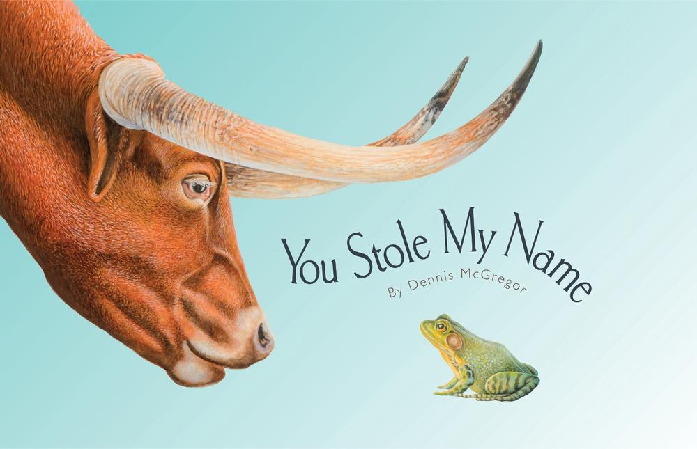 You Stole My Name by Dennis Mcgregor - ISBN: 9781941325988