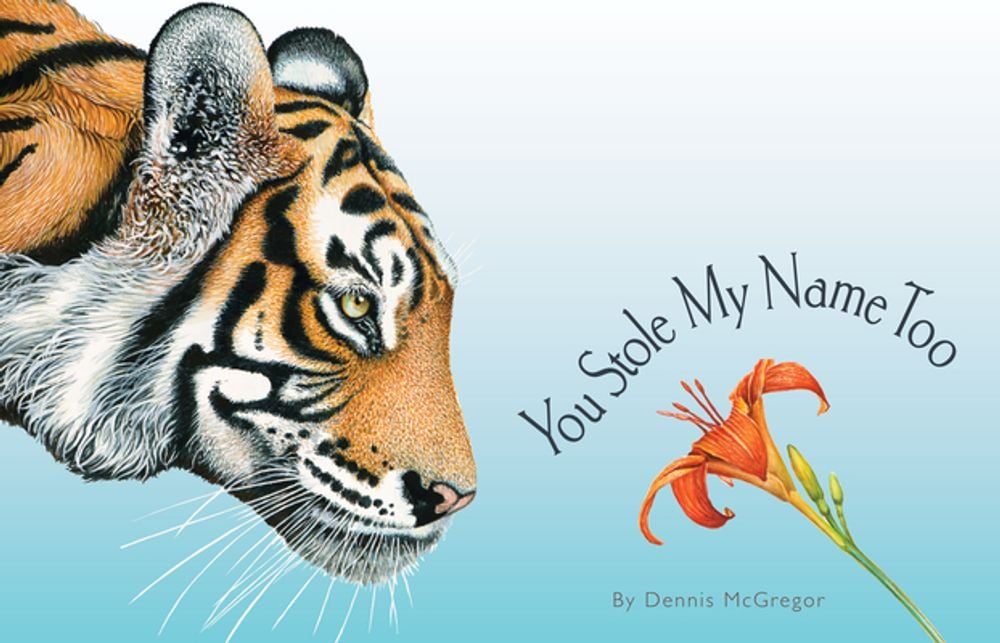 You Stole My Name Too by Dennis Mcgregor - ISBN: 9781941325995