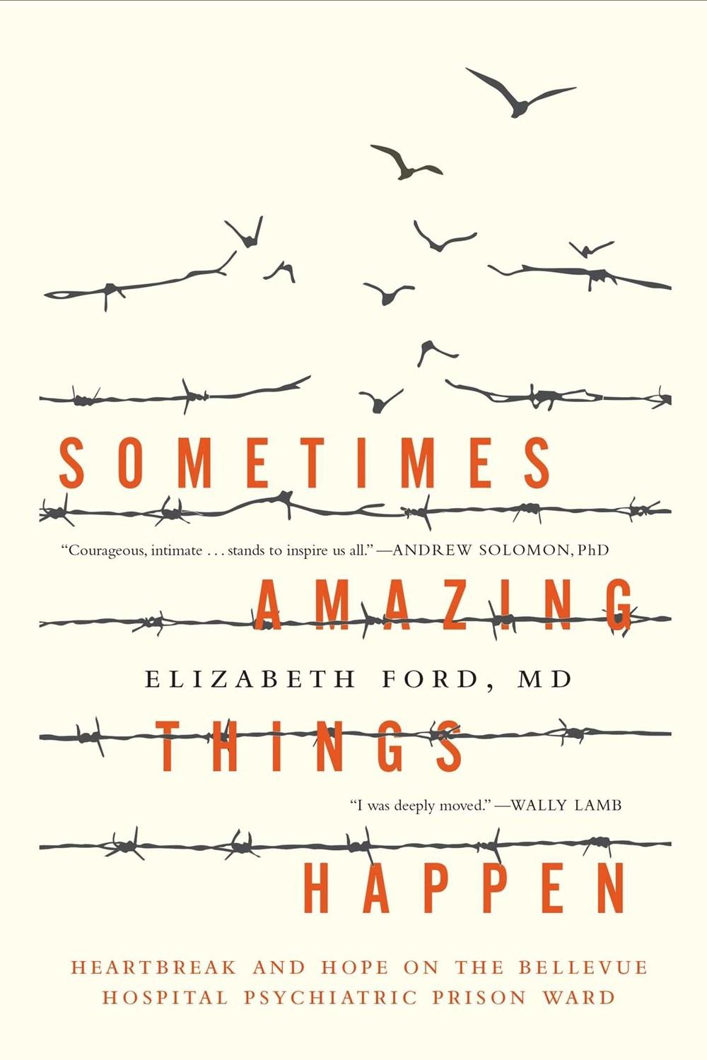 Sometimes Amazing Things Happen by Anonymous - ISBN: 9781941393437