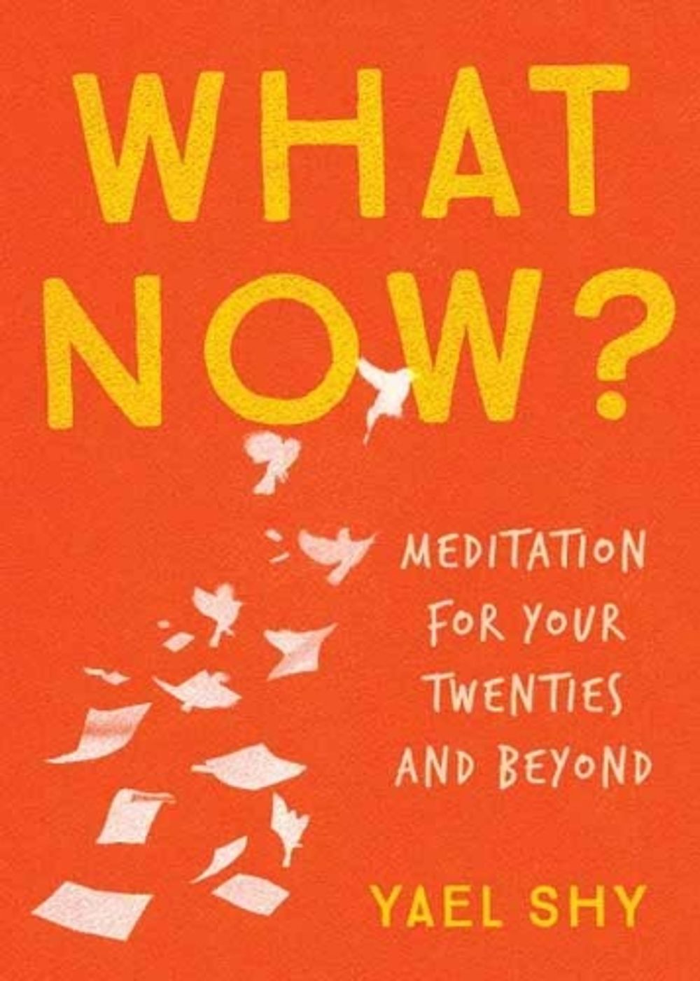 What Now? by Yael Shy - ISBN: 9781941529829