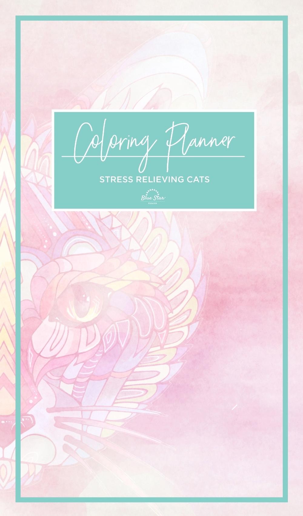 Coloring Planner by Katy Lipscomb - ISBN: 9781944515348