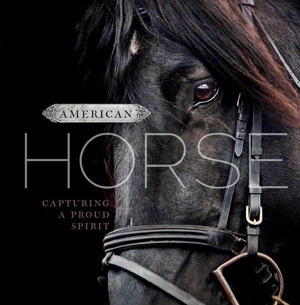 American Horse by D.A. Michaels - ISBN: 9781944833473