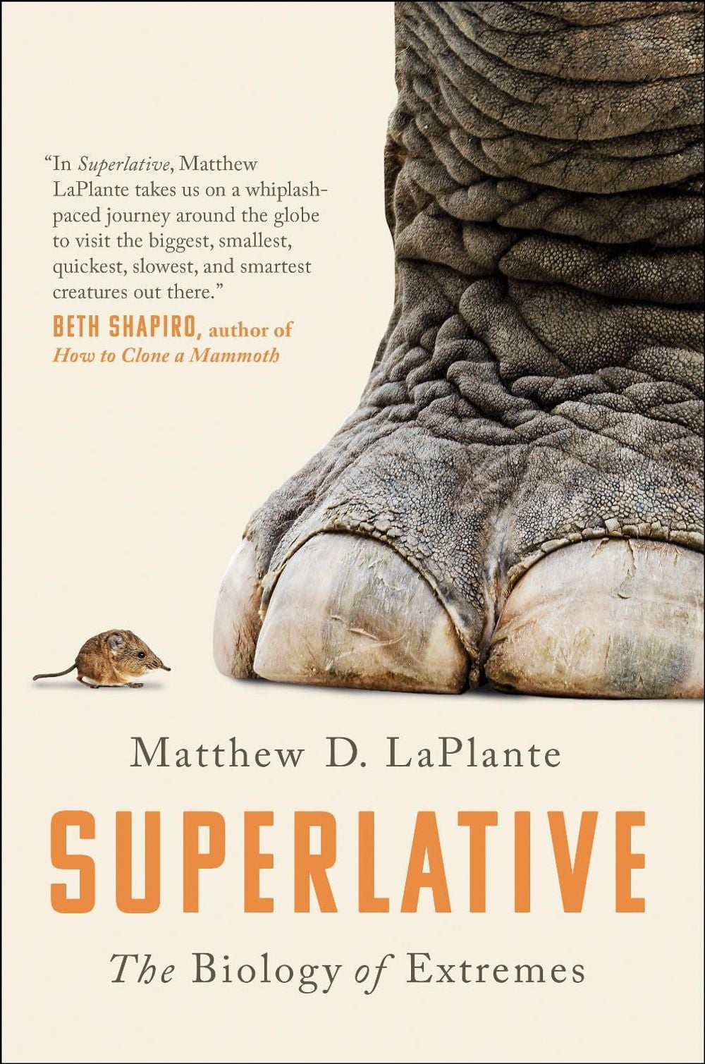 Superlative by Matthew D. LaPlante - ISBN: 9781946885944