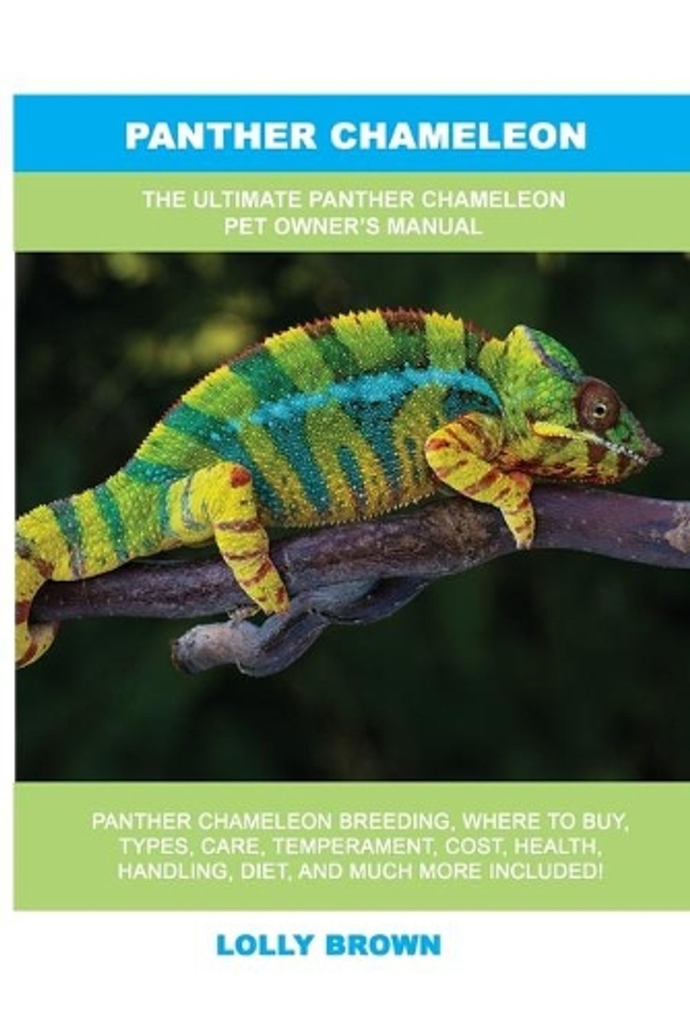 Panther Chameleon by Lolly Brown - ISBN: 9781949555370