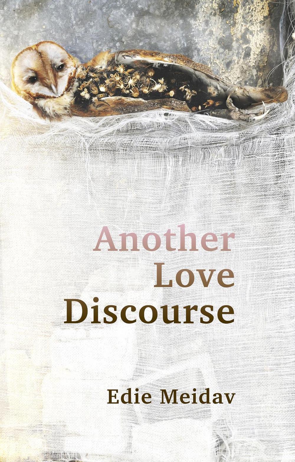 Another Love Discourse by Edie Meidav - ISBN: 9781949597202