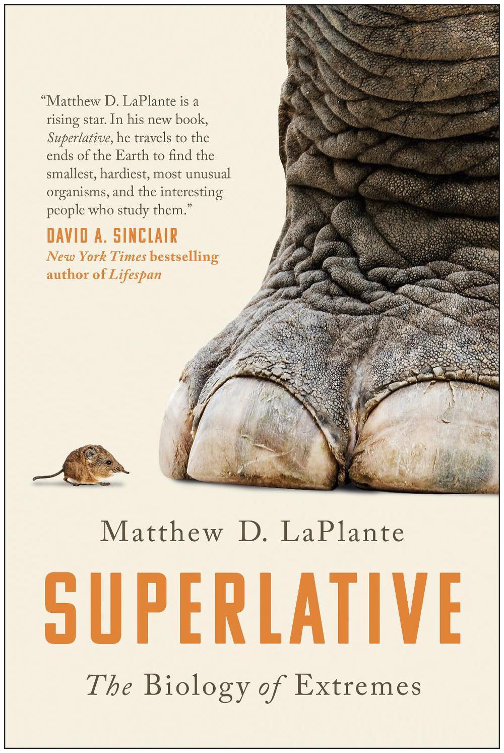 Superlative by Matthew D. LaPlante - ISBN: 9781950665334