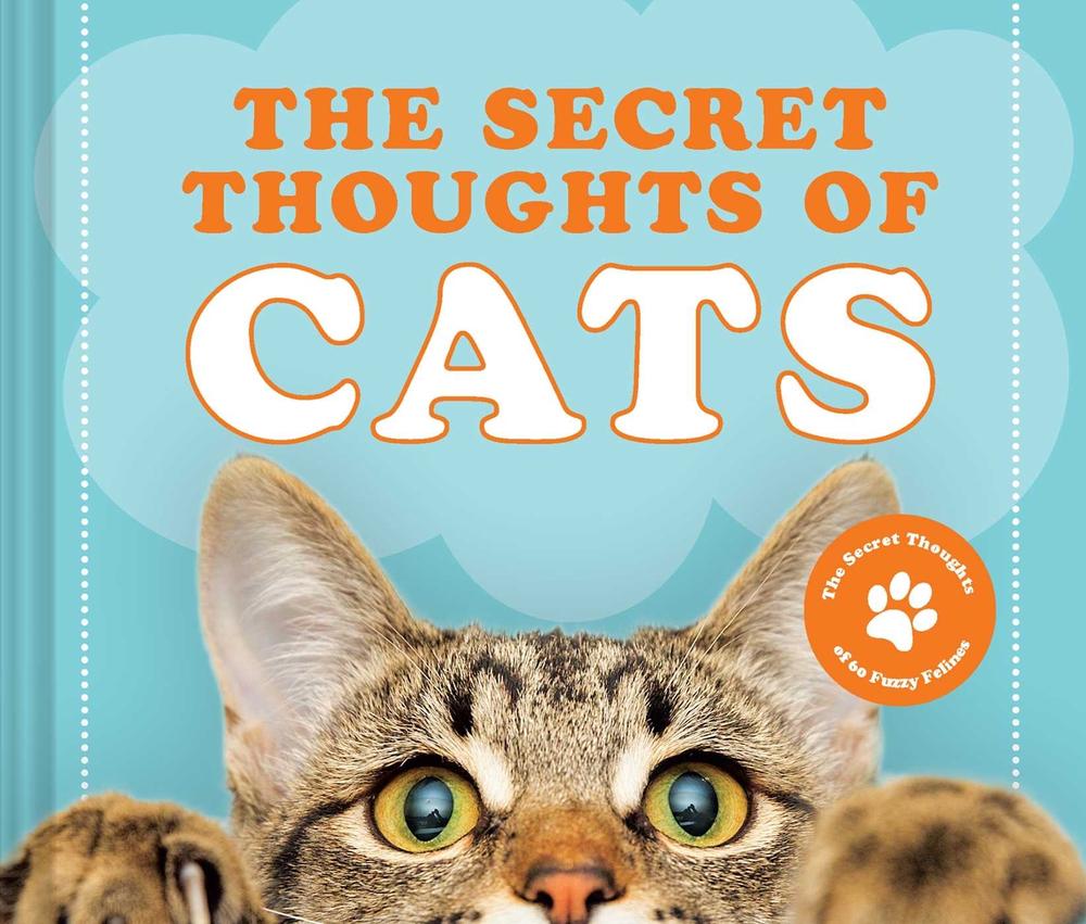 The Secret Thoughts of Cats by CJ Rose - ISBN: 9781951412234