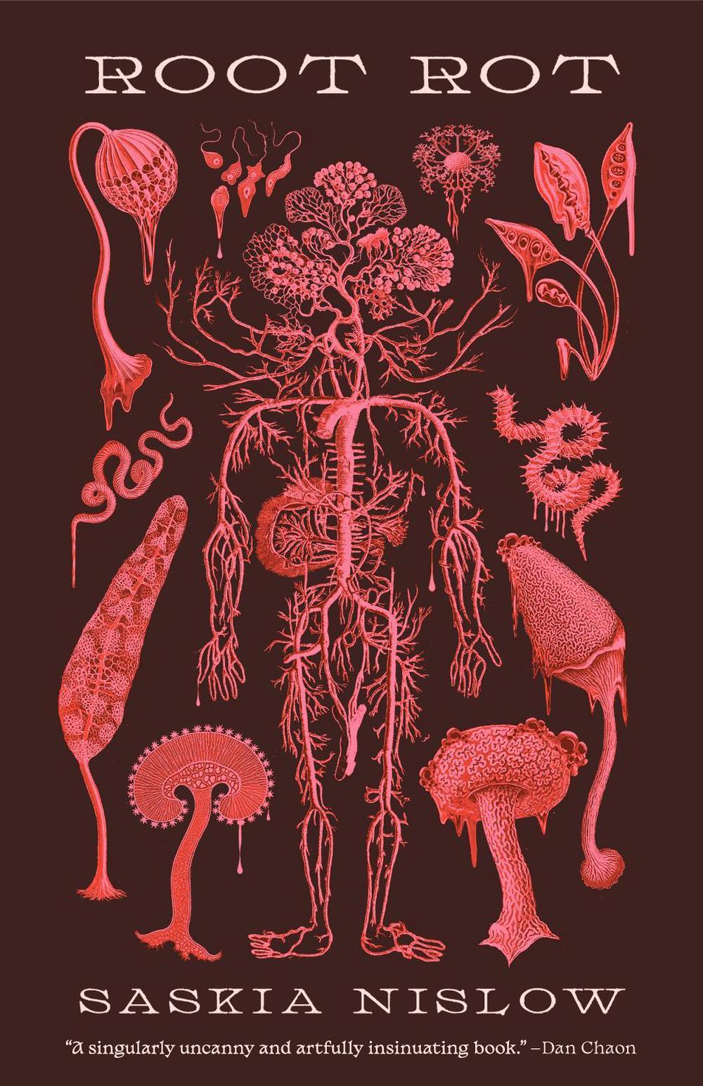 Root Rot, 9781951971250