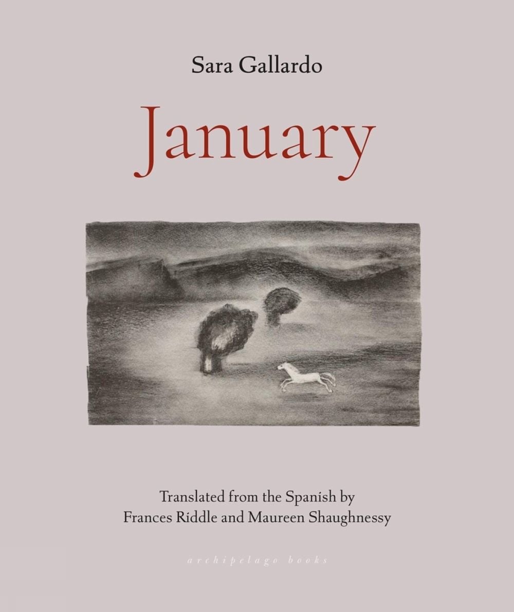 January by Sara Gallardo - ISBN: 9781953861641