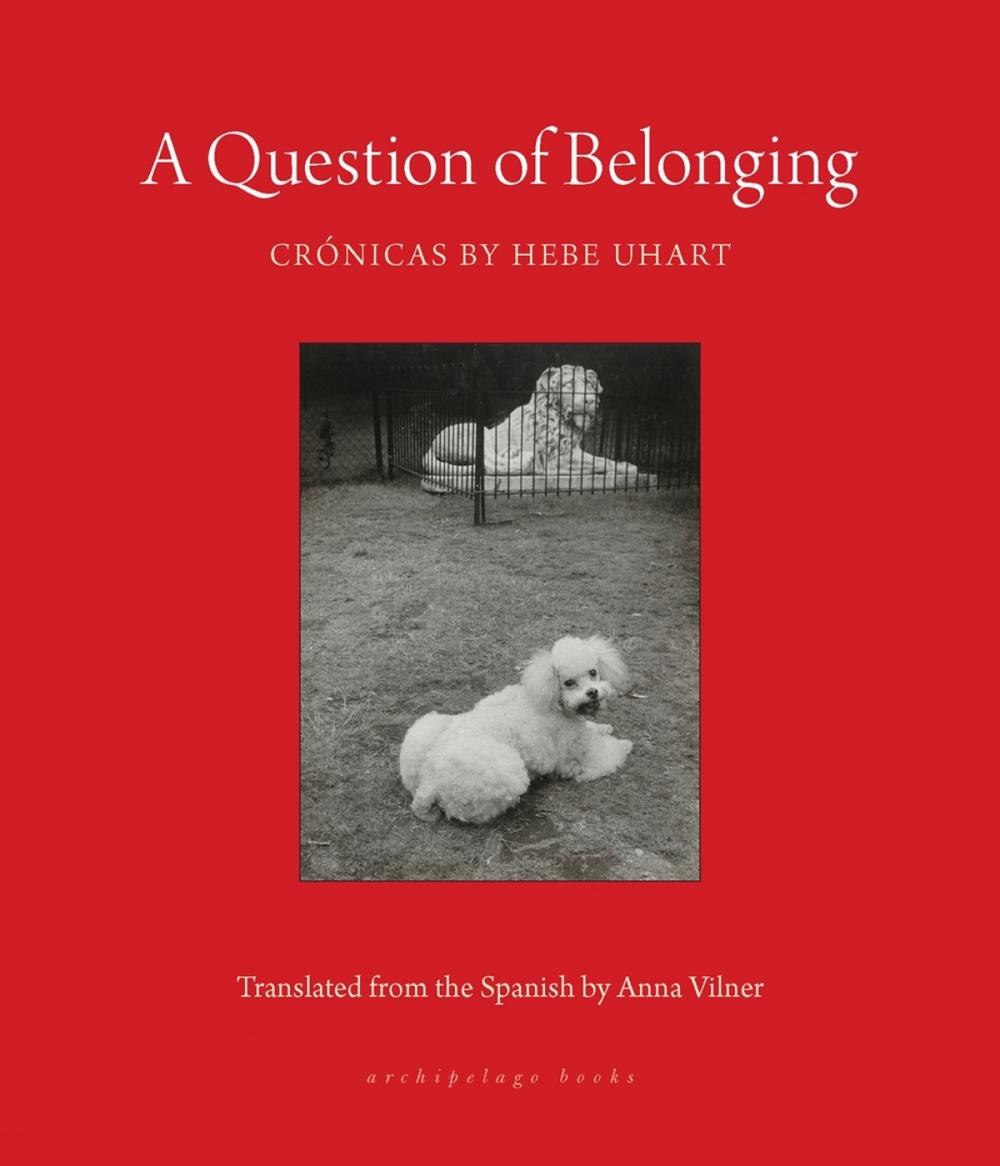A Question of Belonging by Anna Vilner - ISBN: 9781953861801