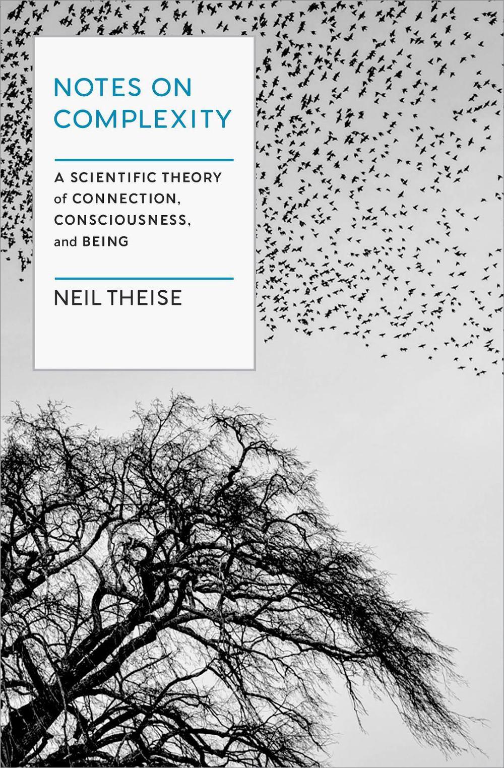 Notes on Complexity, 9781954118256