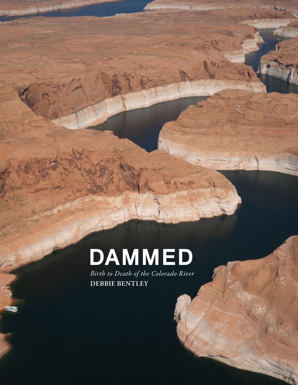 Dammed by Debbie Bentley - ISBN: 9781954119314
