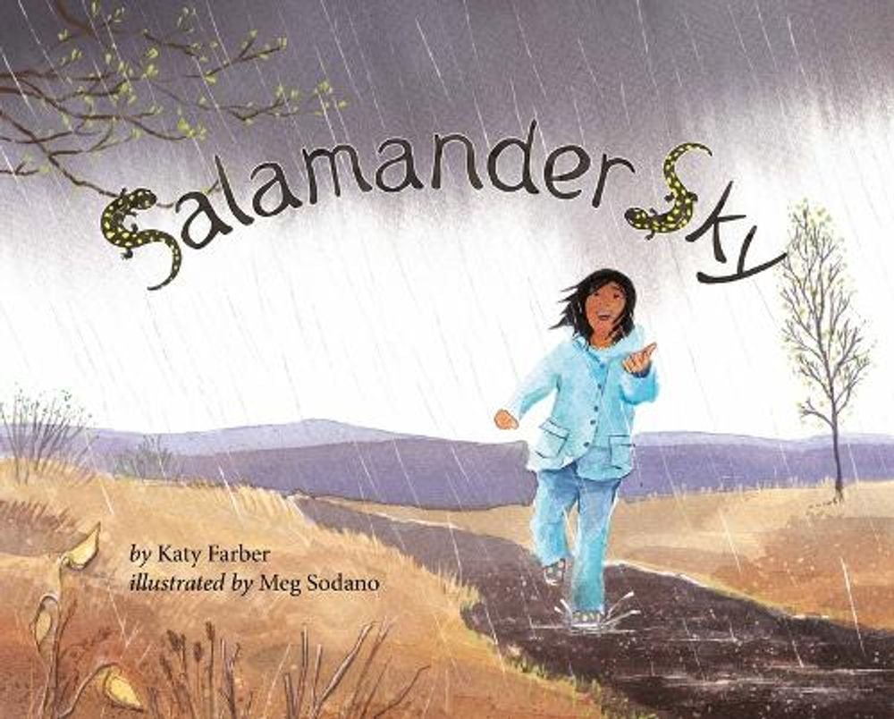 Cover of Salamander Sky