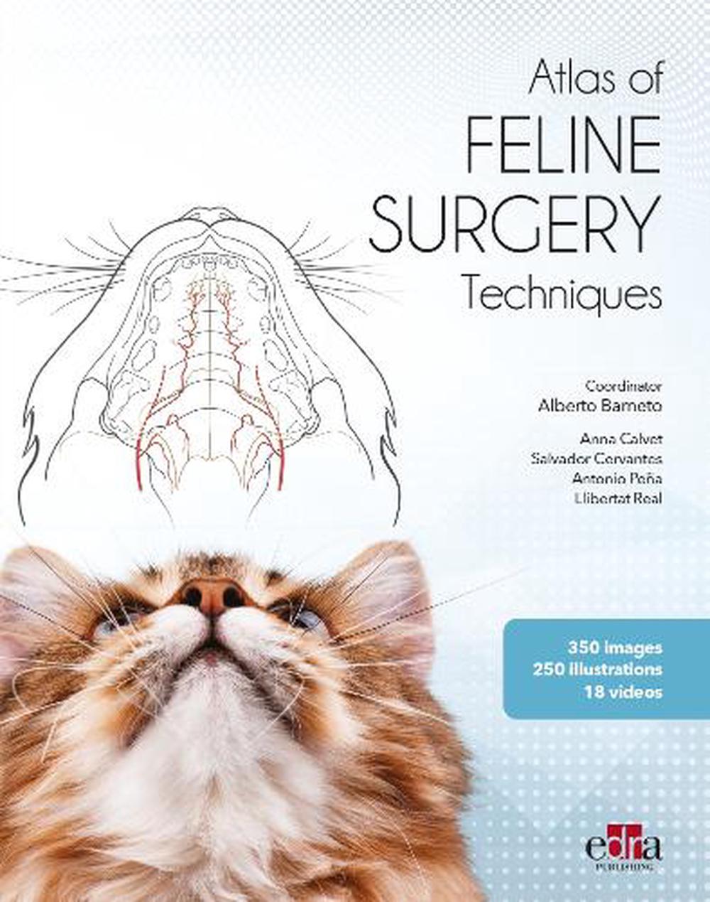 Feline surgery, 9781957260587