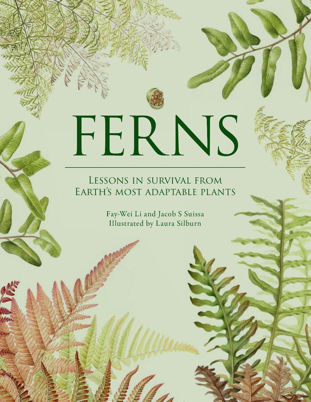 Ferns by Fay-Wei Li - ISBN: 9781958417850