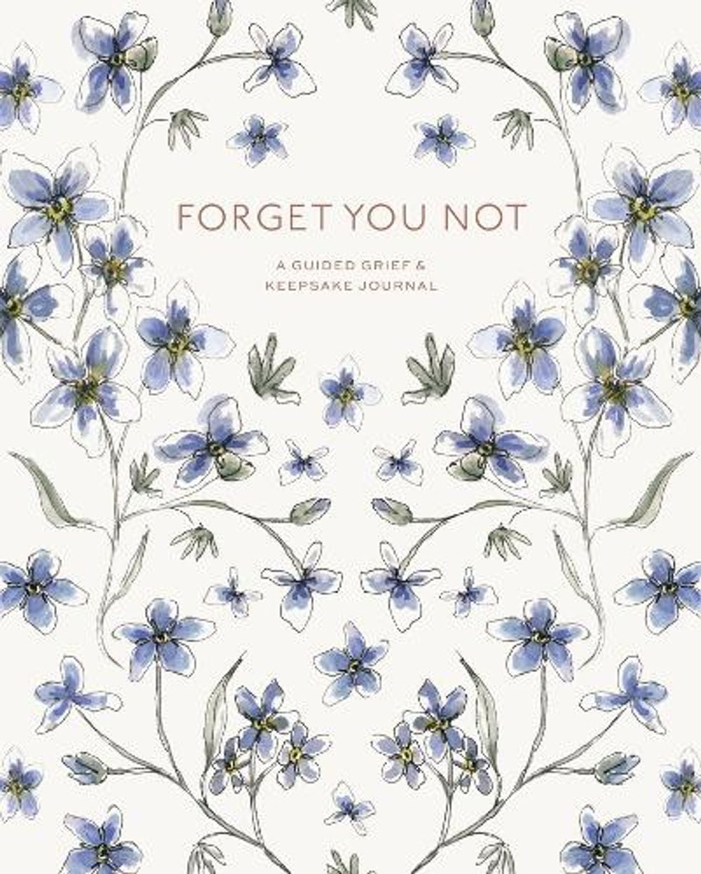 Forget You Not by Brittany Desantis - ISBN: 9781958803370
