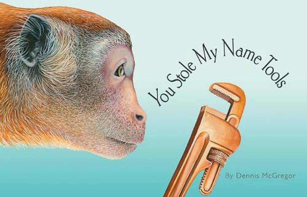 You Stole My Name: Tools by Dennis Mcgregor - ISBN: 9781958803929