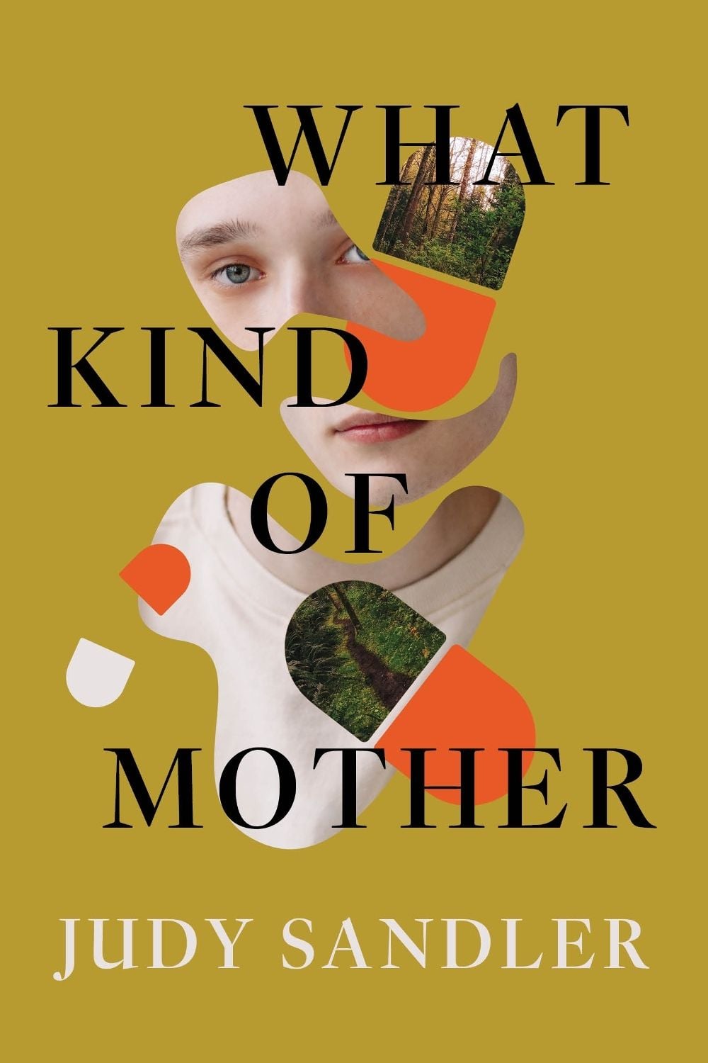 What Kind of Mother by Judy Sandler - ISBN: 9781959000808