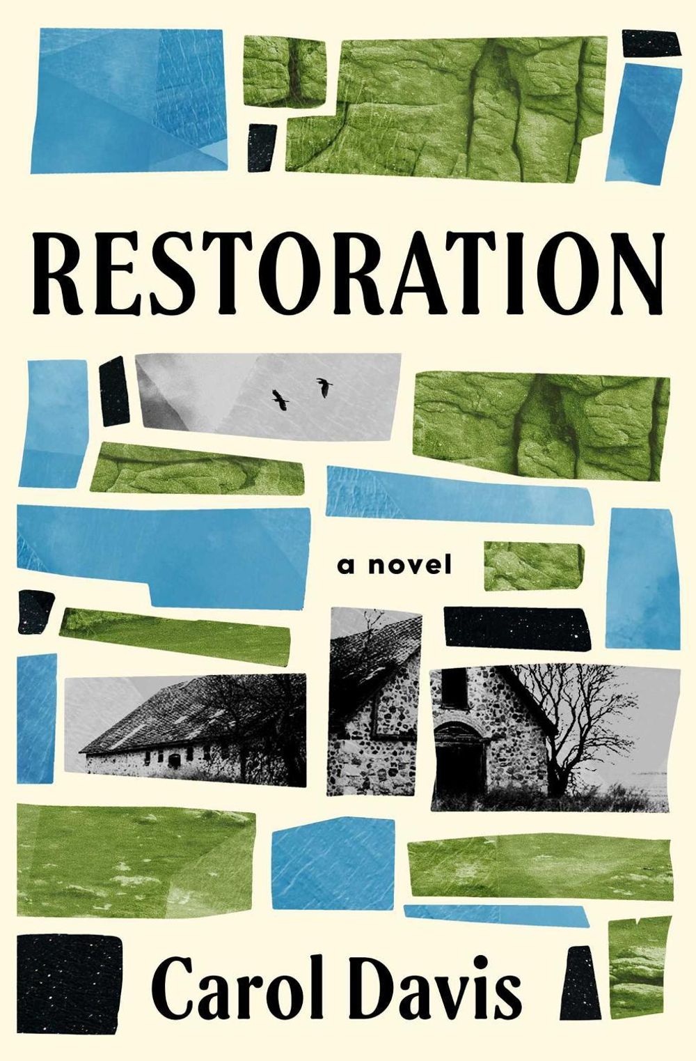 Restoration by Carol Davis - ISBN: 9781959524199