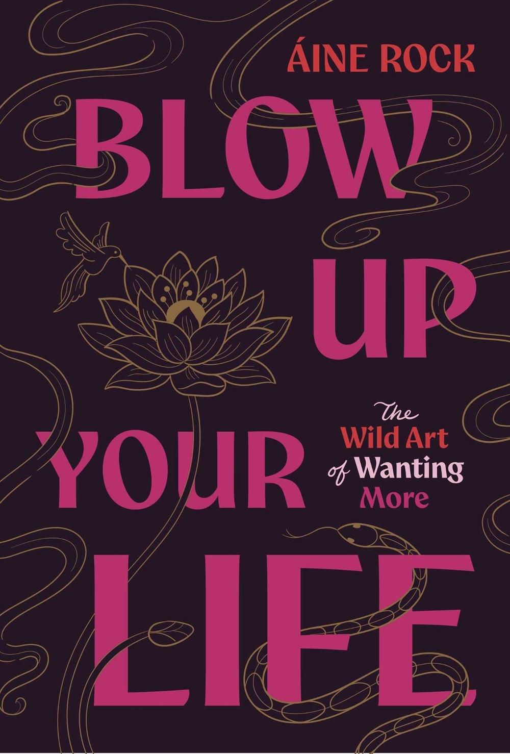 Blow Up Your Life by Áine Rock - ISBN: 9781959524205