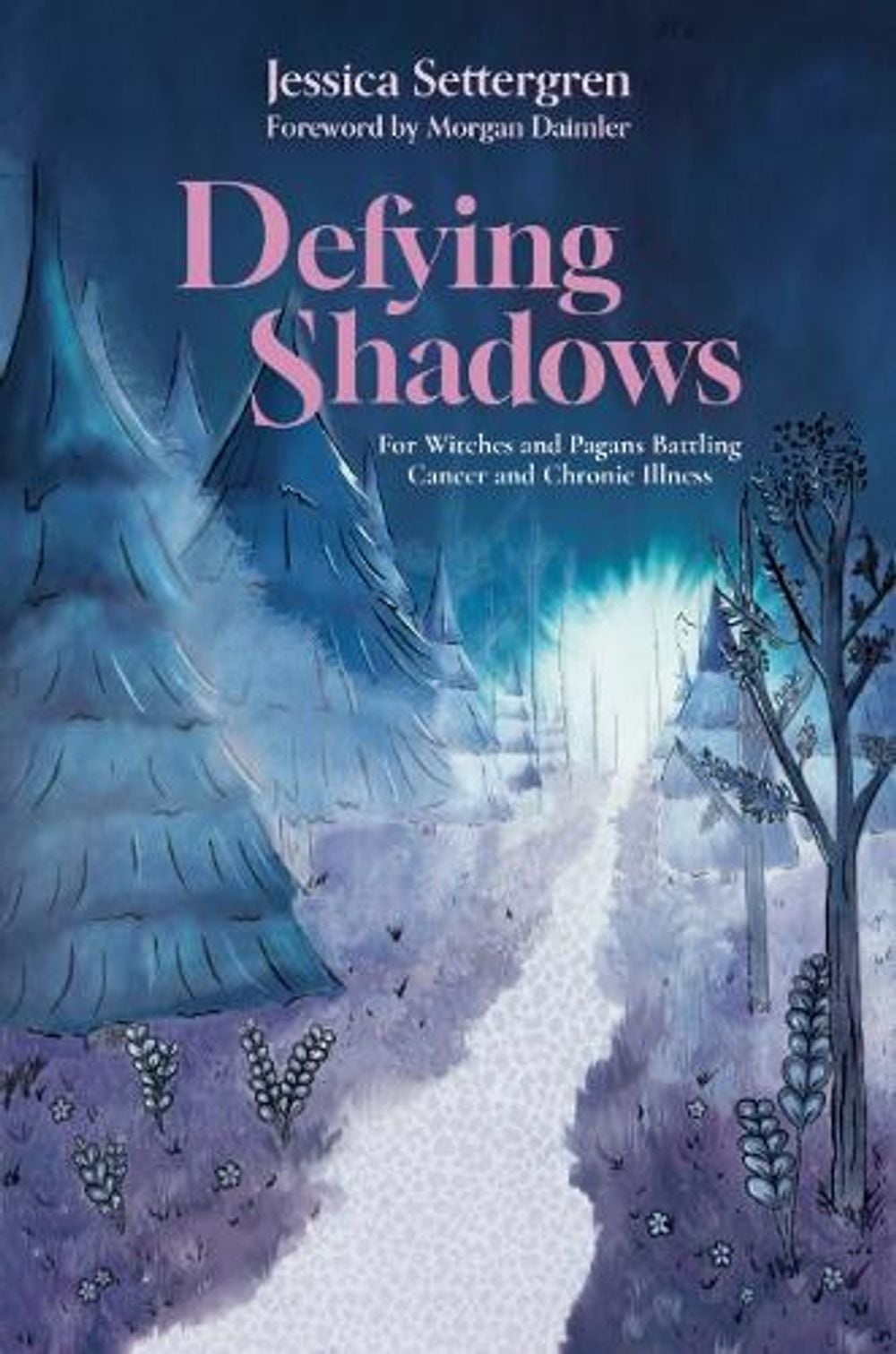 Defying Shadows by Jessica Settergren - ISBN: 9781959883944