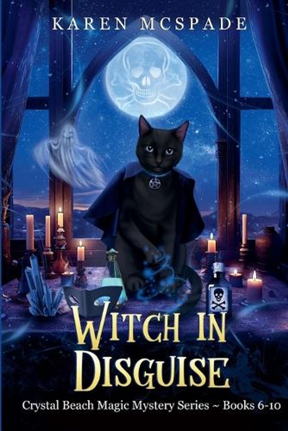 Witch In Disguise by Karen McSpade - ISBN: 9781960896087