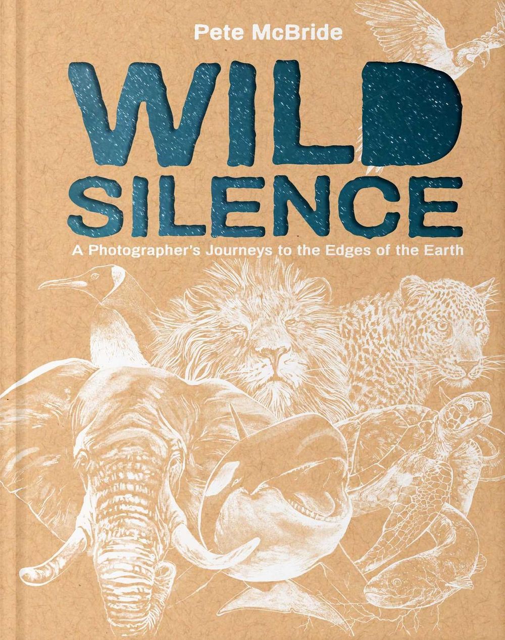 Wild Silence by Pete McBride - ISBN: 9781962098441