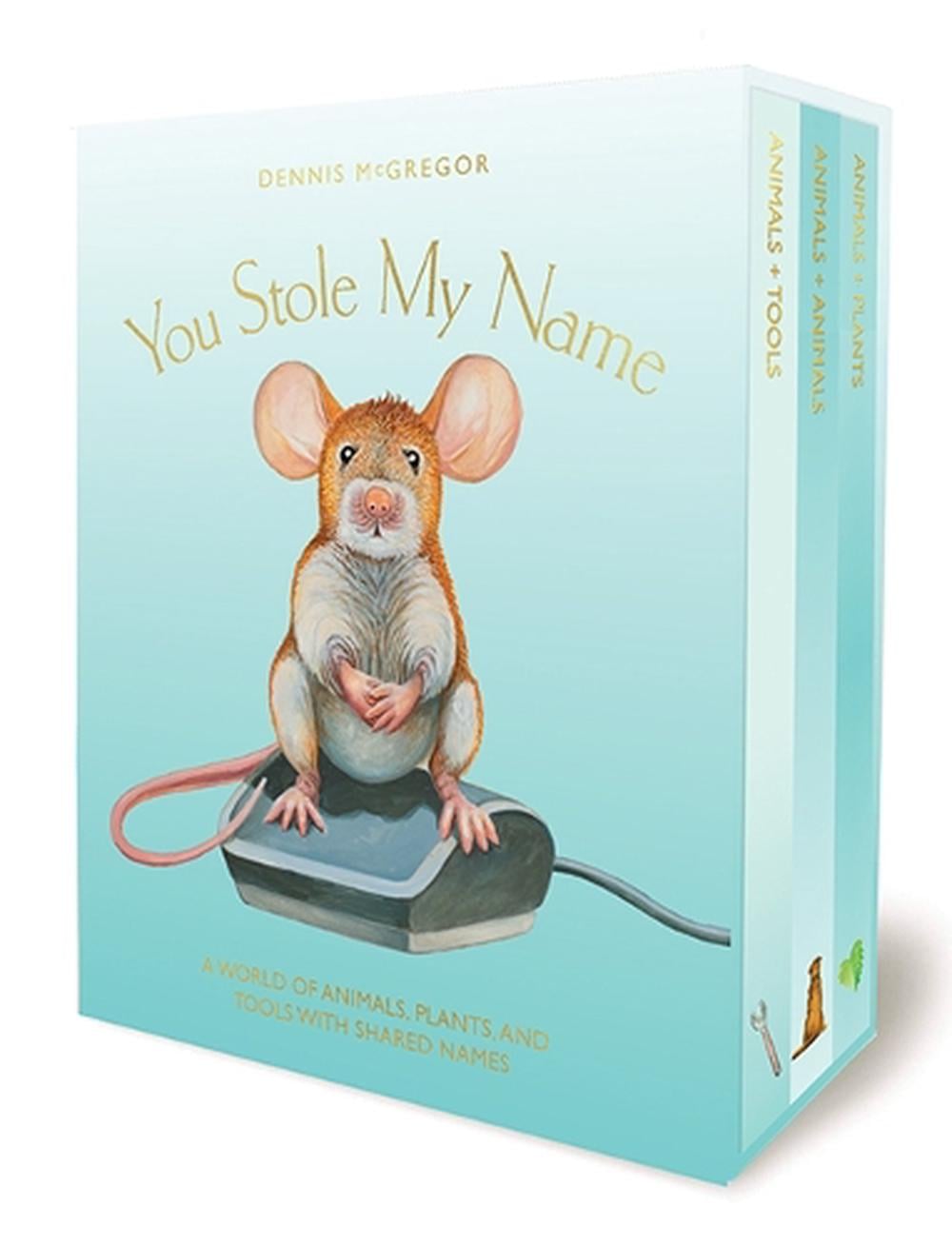 You Stole My Name Board Book Box Set by Dennis Mcgregor - ISBN: 9781963183146