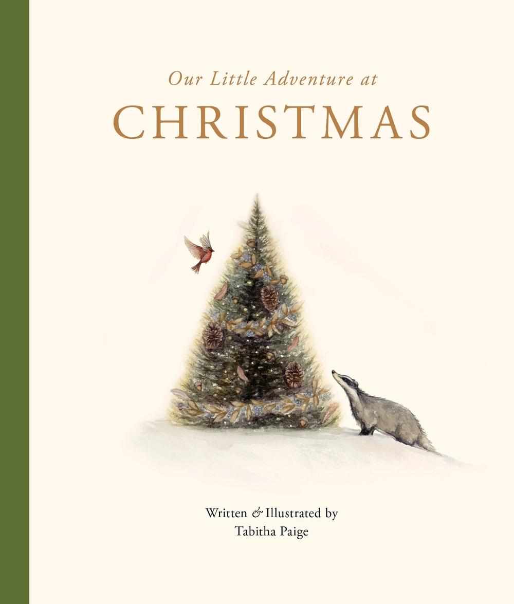 Our Little Adventure at Christmas, 9781963183542