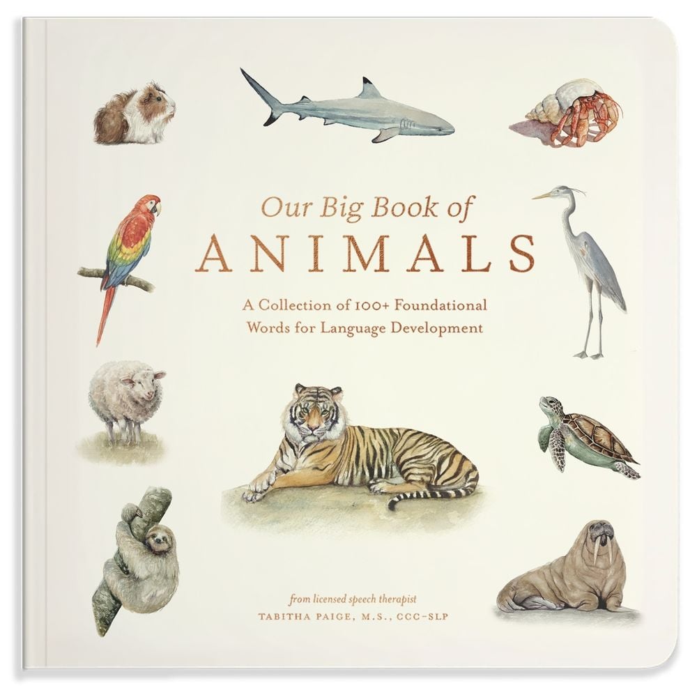 Our Big Book of Animals by Tabitha Paige - ISBN: 9781963183566