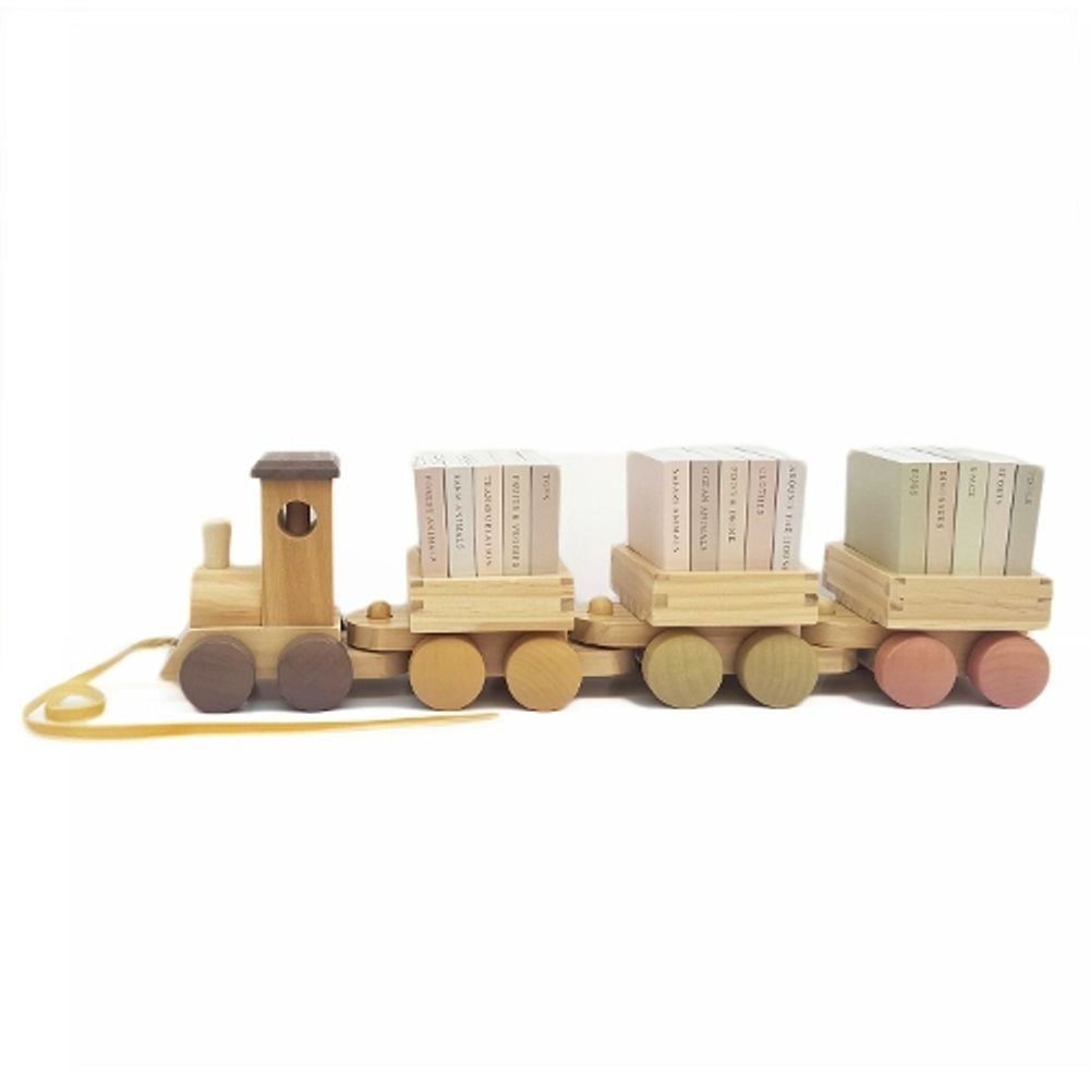 My Little Locomotive Library by Tabitha Paige - ISBN: 9781963183955