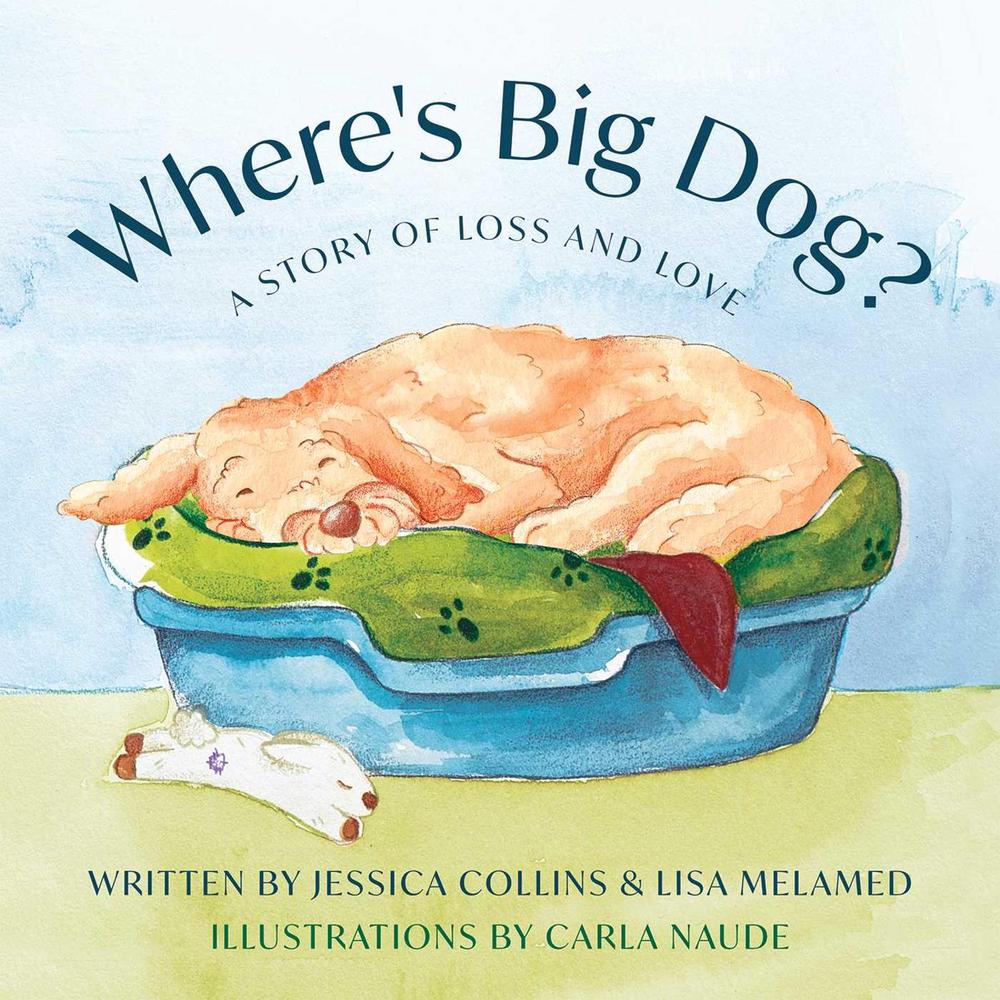 Where's Big Dog? by Jessica Collins - ISBN: 9781964686431