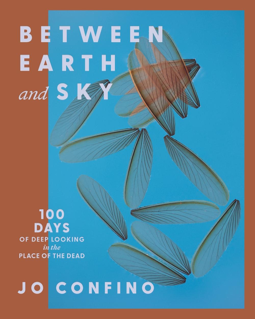 Between Earth and Sky by Jo Confino - ISBN: 9781967175024