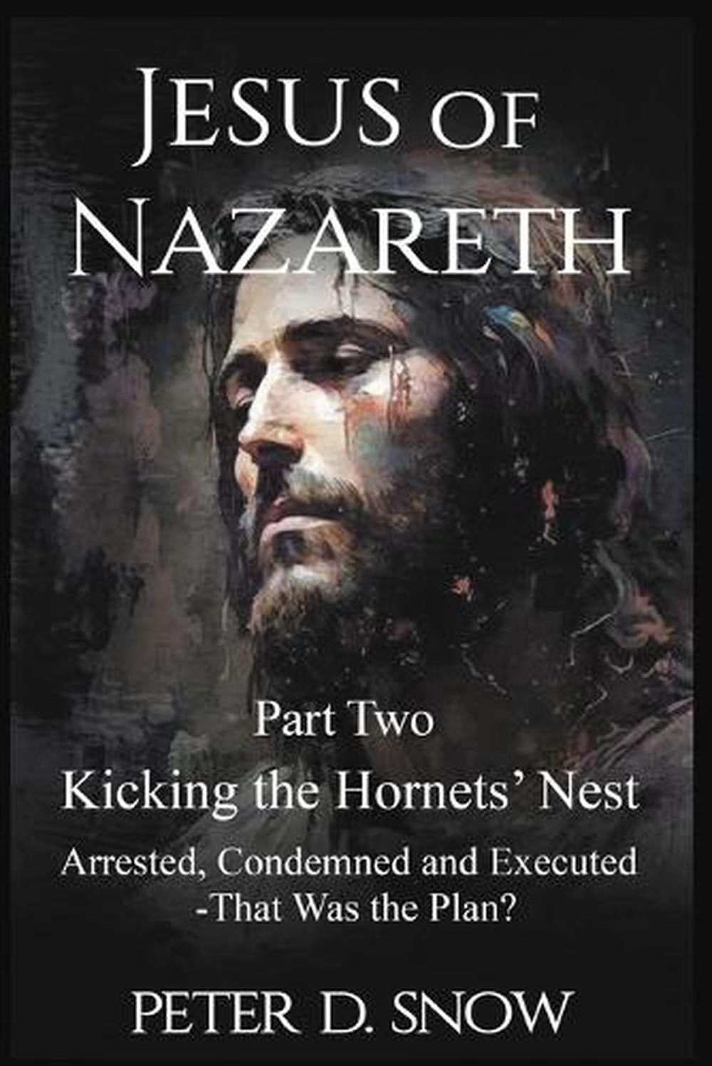 JESUS OF NAZARETH Part Two by Peter D. Snow, Paperback, 9781968069094 ...