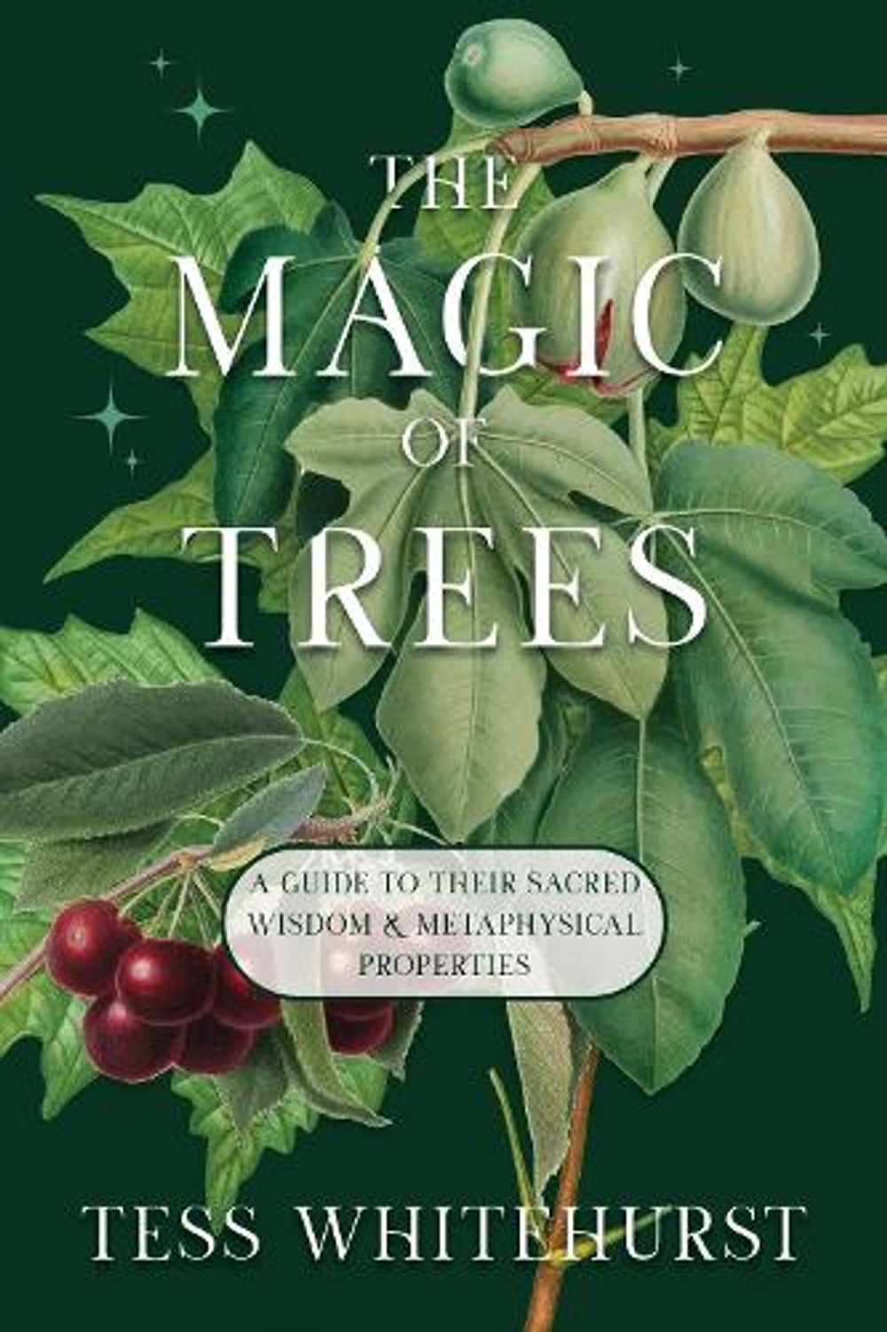Internet Safety Tree The Magic of Trees by Tess Whitehurst, Paperback, 9781968185961 | Buy ...
