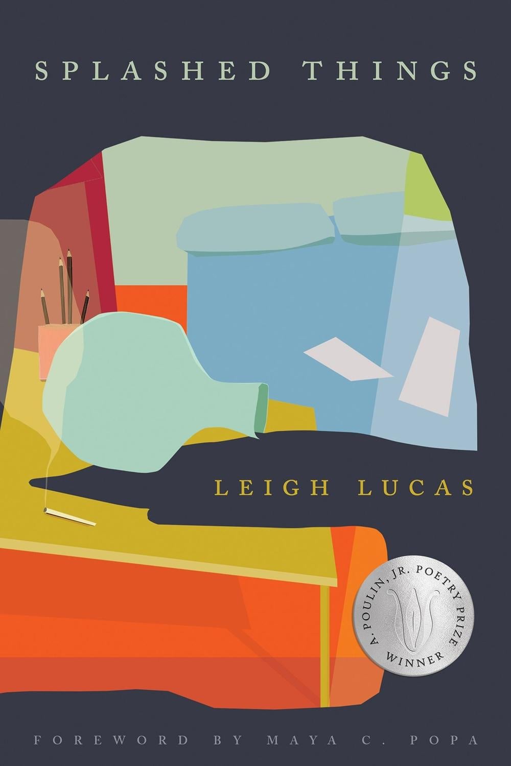 Splashed Things by Leigh Lucas - ISBN: 9781968507039