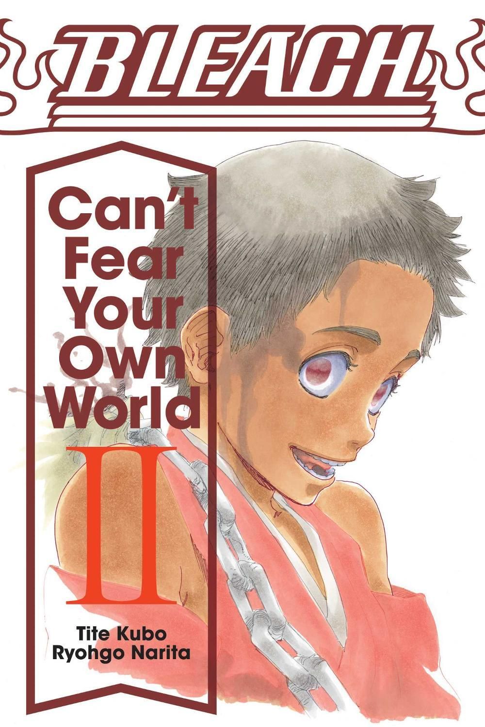 Bleach: Can't Fear Your Own World, Vol. 2 by Ryohgo Narita - ISBN: 9781974713271