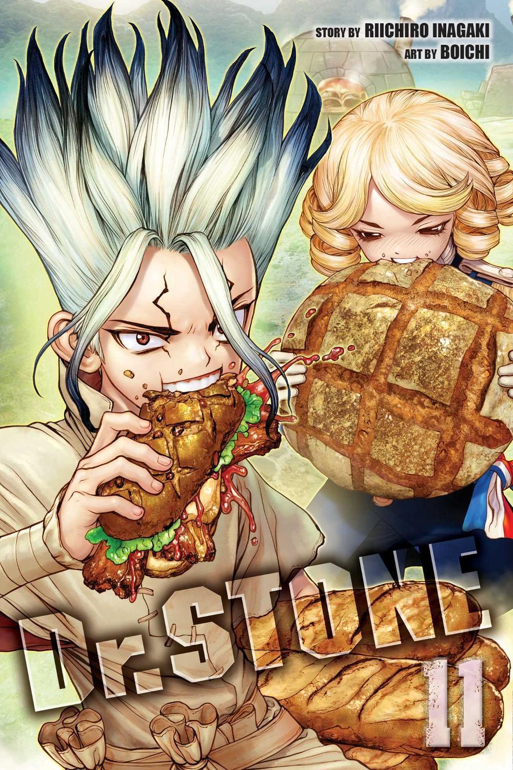 Dr. STONE, Vol. 11, 9781974714797