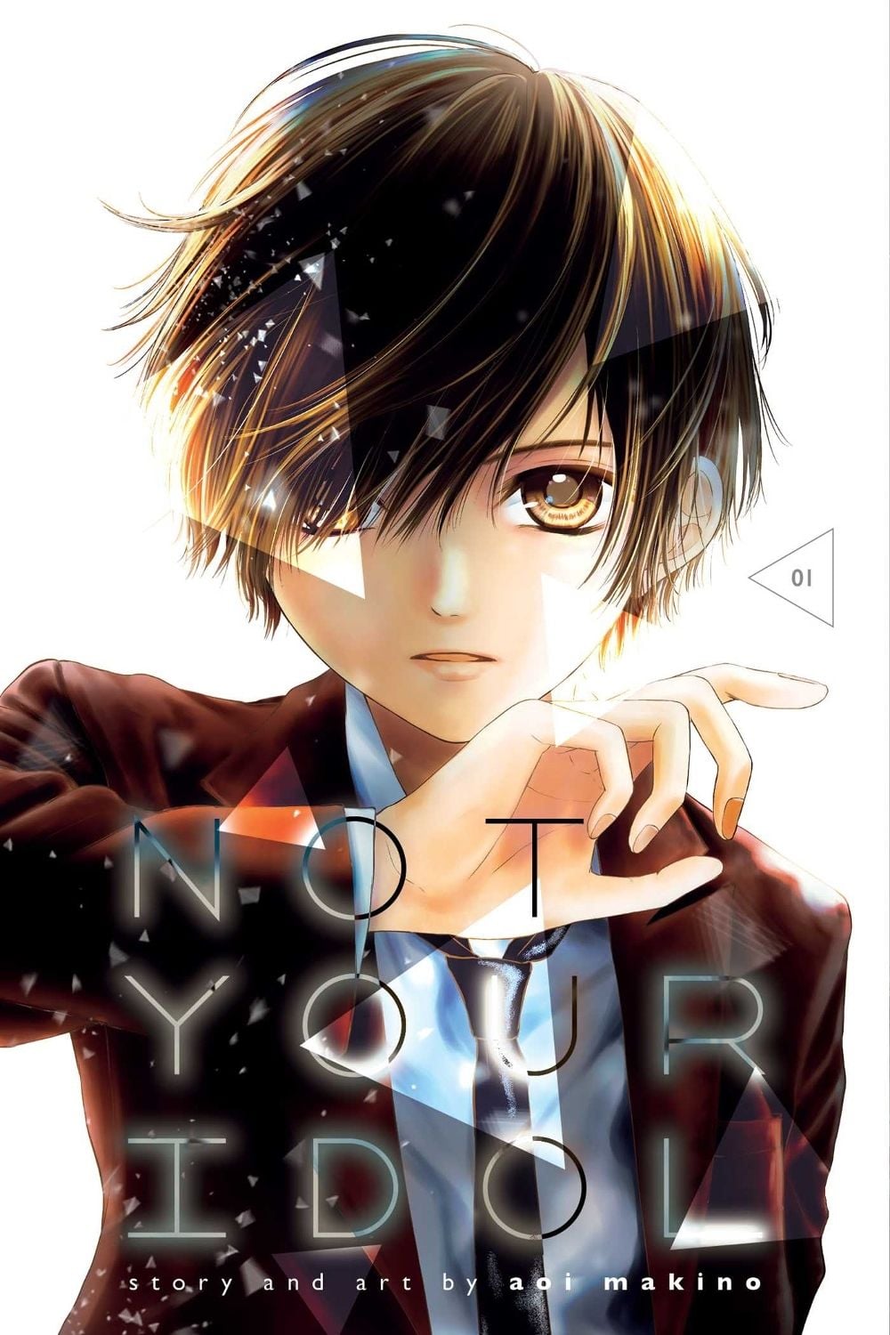 Not Your Idol, Vol. 1 by Aoi Makino - ISBN: 9781974715169
