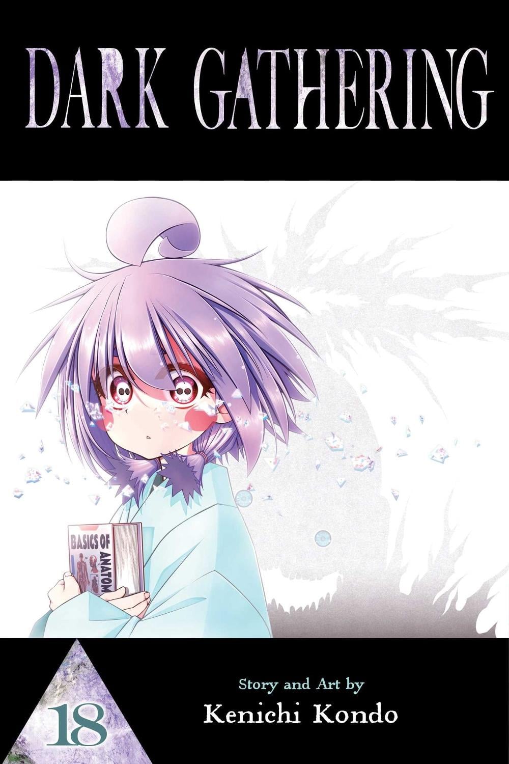 Dark Gathering, Vol. 18 by Kenichi Kondo - ISBN: 9781974716661