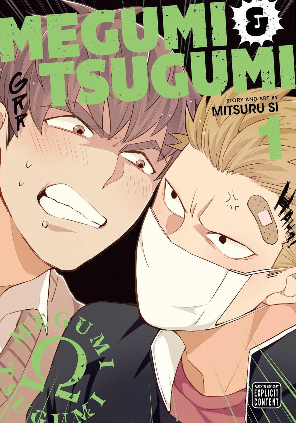 Megumi & Tsugumi, Vol. 1 by Mitsuru Si - ISBN: 9781974734160