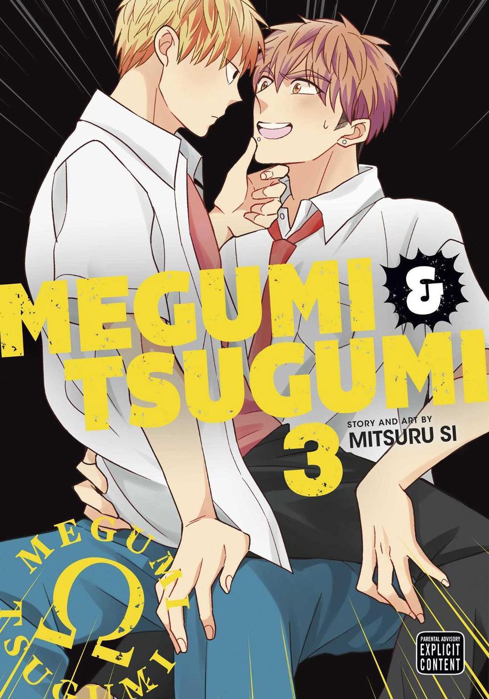 Megumi & Tsugumi, Vol. 3 by Mitsuru Si - ISBN: 9781974738892