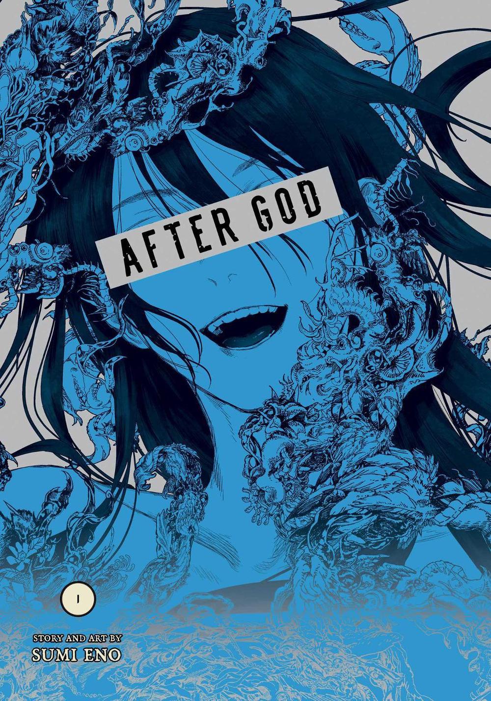 After God, Vol. 1 by Sumi Eno - ISBN: 9781974749706