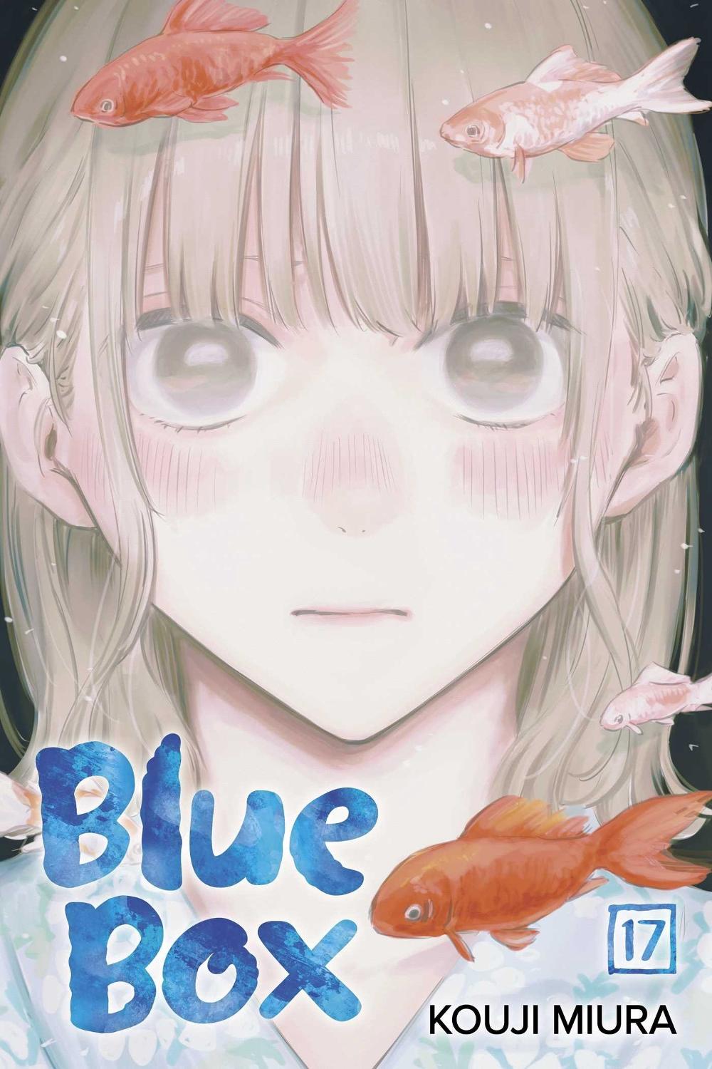 Blue Box, Vol. 17, 9781974754908