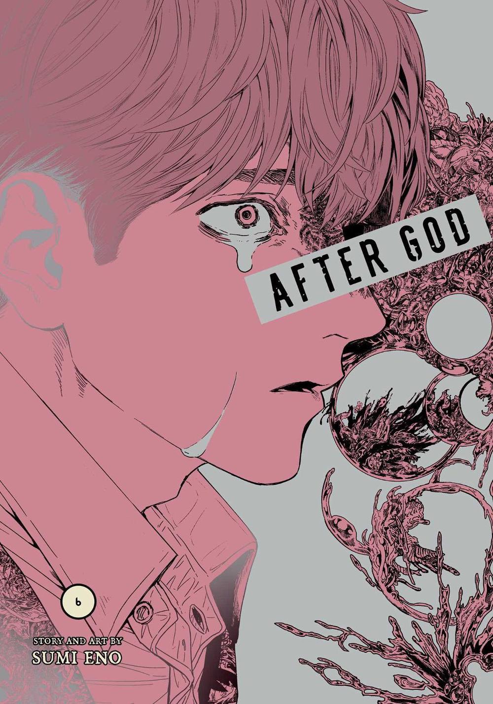 After God, Vol. 6, 9781974758302
