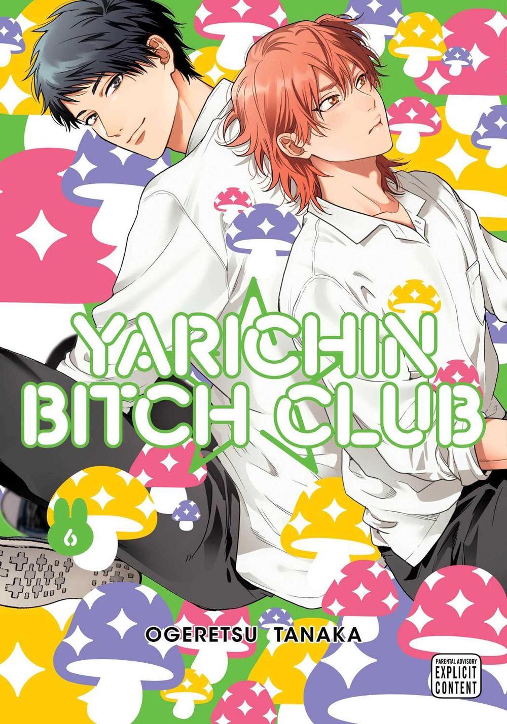 Yarichin Bitch Club, Vol. 6, 9781974761296