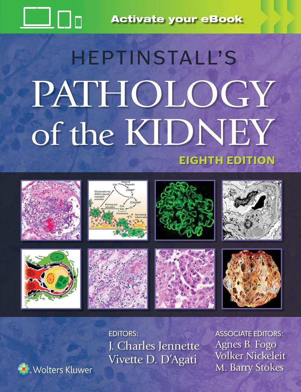 Heptinstall's Pathology of the Kidney, 8th Edition, 9781975161538